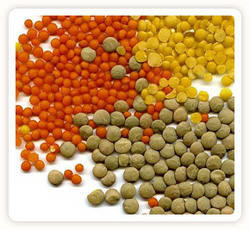 Wholesale quality: Best Quality Green Lentils | Red Lentils | Brown Lentils