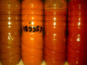 Wholesale cp8: RBD CP8  ,CP10 Palm Oil , Palm  Oil Acid,