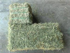 Wholesale quality: High Quality  Alfalfa Hay and Timothy Hay