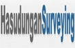 Hasudungansurveying Ltd Company Logo