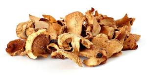 Wholesale seafood: Dried Oyster Mushrooms