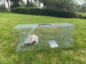 Wholesale pet cage: 32 X 12 X 12 Catch and Release Humane Rodent Cage for Rabbits Stray Cat Squirrel  Live Animal Tra