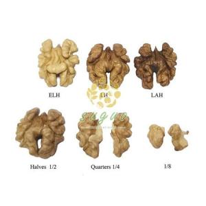 Wholesale pine nut kernels: Walnut Kernels     China Walnut Kernel Halves Exporter     China Walnut Kernel Manufacturers