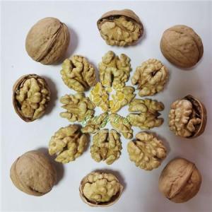 Wholesale resonant test: 185 Walnut Inshell    Soft Thin Shell 185      Walnut Wholesale    China Walnuts Inshell