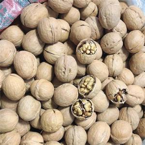 Wholesale niacin: 33 Walnut Inshell     Sansan Walnut       Walnut Inshell Manufacturer in China