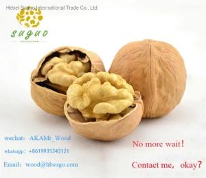 Wholesale in shell walnut: China Cheap Walnut in Shell