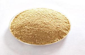 Wholesale Feed Additives: Schizochytrium Powder