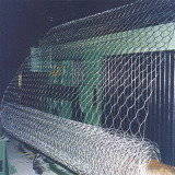 Wholesale chain link fencing: Wire Mesh