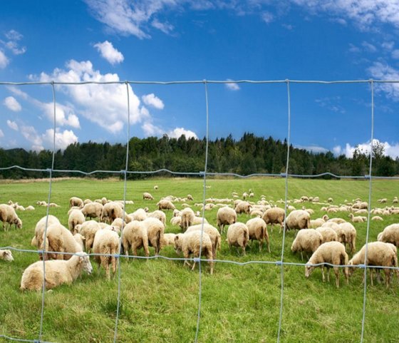 Galvanized cattle farm livestock wire fencing mesh(id:10557629). Buy ...