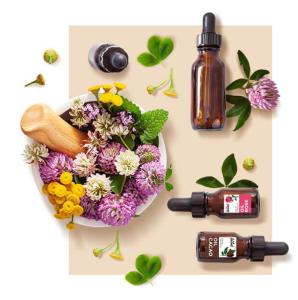 Wholesale herbs: Essential Oils