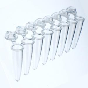 Wholesale Lab Supplies: PCR Tube (8-strip)