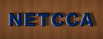 NETCCA Electronic Power Co.,Ltd Company Logo