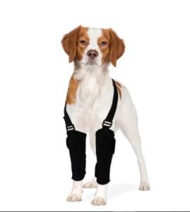 Wholesale therapy: Dogs Carpal Therapy Wrap Brace