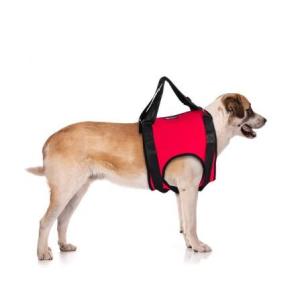 Wholesale friends: Dog Front End Support Harness