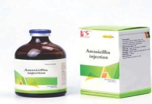 Wholesale Veterinary Medicine: Amoxicillin Trihydrate Powder