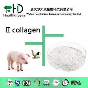Wholesale type ii collagen: Collagen Type II(Edible Level)