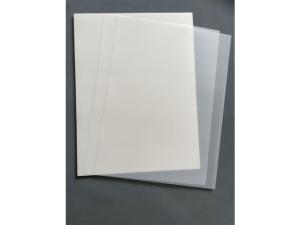 Wholesale inkjet printing film: 75Micron Hot Peel DTF PET Film for Roll To Roll Inkjet Digital Printers