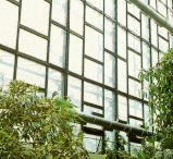 Clear float glass