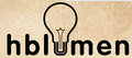 Hebei Hblumen Lighting and Electric Appliance Co., Ltd Company Logo