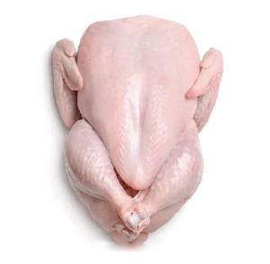 Wholesale grade a: Premium Grade Fresh Frozen Chicken in A Best Rate