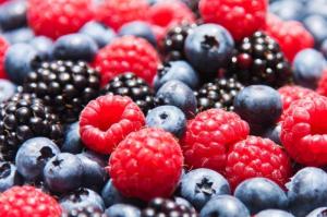 Wholesale fruit packaging net: Blueberry,Cranberry ,Other Berry and Fruit Juice Powder
