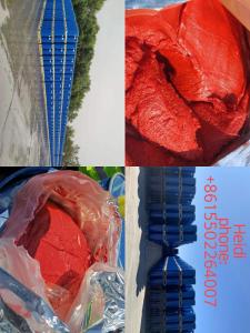 Wholesale packaing bag: Aseptic Packaging Xinjiang Tomato Paste in Drum with 36/38 Brix 2021 Year Crop
