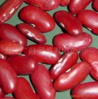 Red Kidney Bean(British Type)