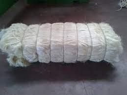 Wholesale extract: Sisal Fibre for Sale
