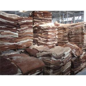 Wholesale leather handbag: Wet Salted Cow Hides /Skin Cow Heads and Animal Skins