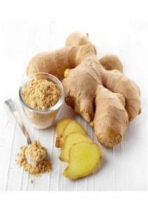 Wholesale fresh ginger: Fresh Ginger Roots