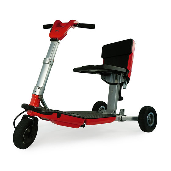 3 Wheel Cargo Electric Scooter