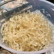 Wholesale seamoss gummies: Seamoss with High Quality