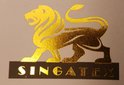 Singatex Pte. Ltd.