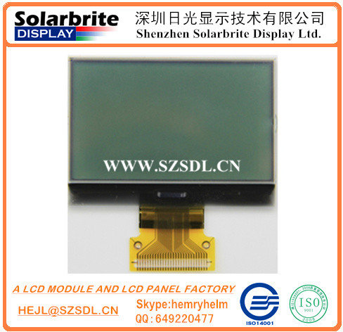 COG LCD Module COB Module Graphic LCD Module Character LCD Module TFT Module Stn Module