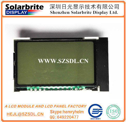 COG LCD Module Graphic LCD Module Character LCD Module TFT Module Stn Module with Backlight Unit