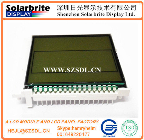 LCD Module Graphic LCD Module Character LCD Module TFT Module Stn Module COG with Backlight Unit