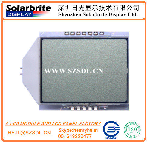 LCD Module Graphic LCD Module Character LCD Module TFT Module Stn Module with Backlight Unit