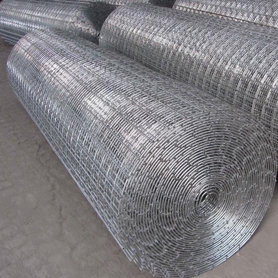 Electro Galvanized Welded Wire Mesh(id:10982210). Buy China welded wire ...