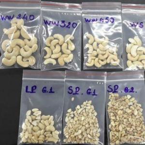Wholesale lighting: Raw and Roasted Cashew Nuts