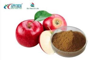 Wholesale keep apple: Apple Polyphenols Powder