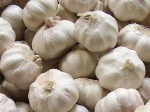 Wholesale garlic cloves: Garlic