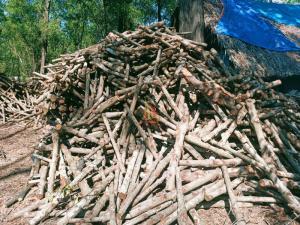 Wholesale mau: Mangrove Charcoal