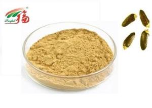 Wholesale ginseng products: Animal Use Herbal Plant Extract 30% - 80% Silymarin Milk Thistle Extract