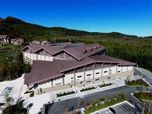 Wholesale Metal Building Materials: Color Steel Panel Roof and Wall