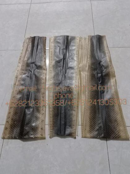 Snake Skin