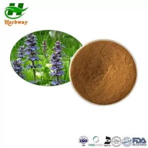Wholesale cd bag: Herbway Plant Extract Powder CAS 41451-87-0 Ajuga Turkestanica Extract Turkesterone Powder