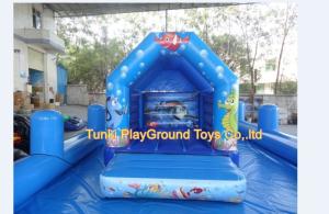 Wholesale inflatable cartoon: Inflatable Castle Inflatable Slide Inflatable Bouncer