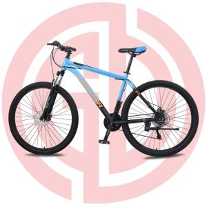Wholesale tricycle bicycle: Mountain Biicycle,City Bicycle,Road Bicycle,Tricycle Bicycle,BMX,Folding Bike