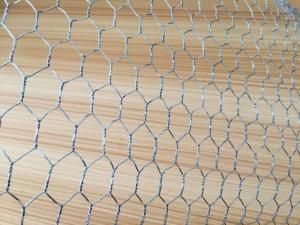 Wholesale double fence netting: Galvanized Hexagonal Wire Mesh