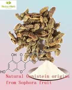 Wholesale antineoplastic agents: Natural Genistein and Benefits,Dosage,Anti-Cancer,Phytoestrogen
